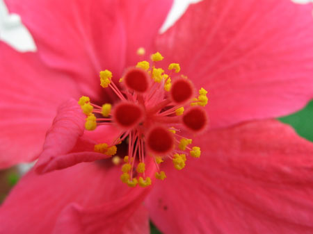 f:id:elmikamino:20090729133054j:image