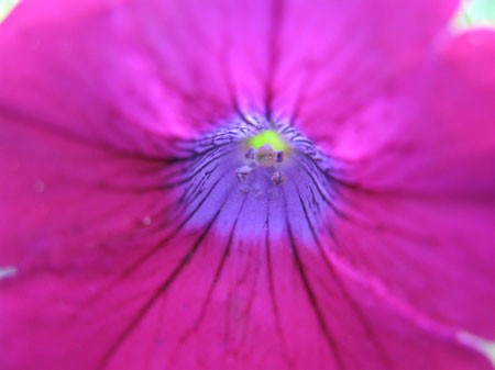 f:id:elmikamino:20090804120648j:image