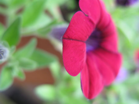 f:id:elmikamino:20090804120649j:image