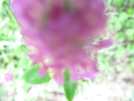 f:id:elmikamino:20090804120657j:image