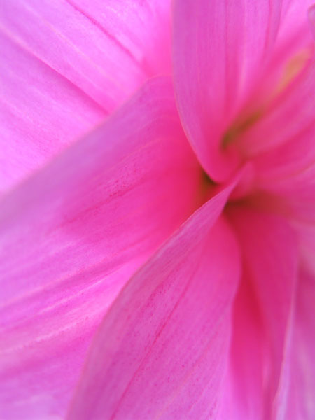 f:id:elmikamino:20090804120703j:image