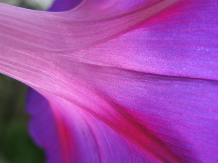 f:id:elmikamino:20090804120705j:image