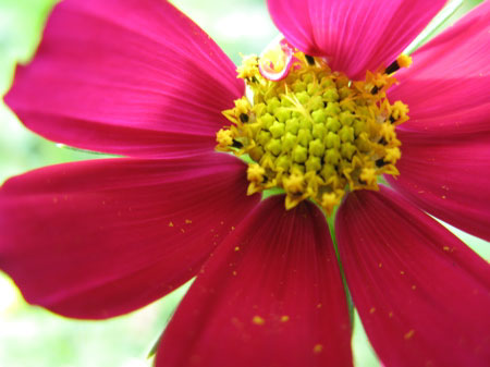 f:id:elmikamino:20090804120709j:image