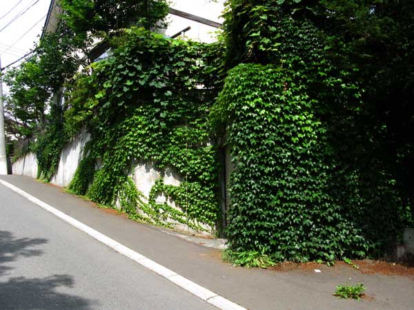 f:id:elmikamino:20090805173241j:image