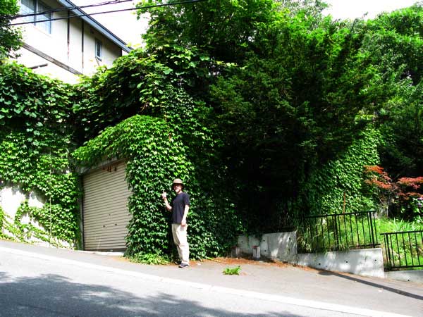 f:id:elmikamino:20090805173242j:image