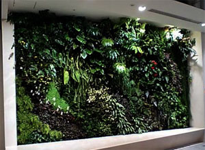 f:id:elmikamino:20090805194525j:image