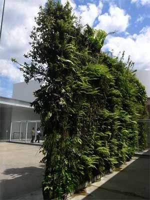 f:id:elmikamino:20090805194527j:image