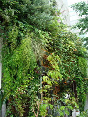 f:id:elmikamino:20090805194528j:image