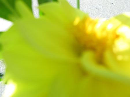 f:id:elmikamino:20090808234721j:image