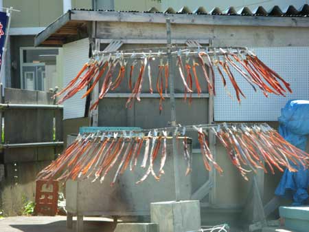 f:id:elmikamino:20090815003059j:image