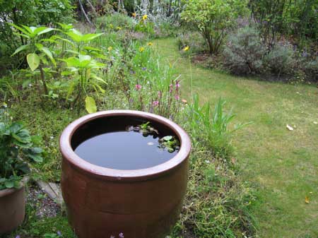 f:id:elmikamino:20090816191414j:image f:id:elmikamino:20090816191414j:image