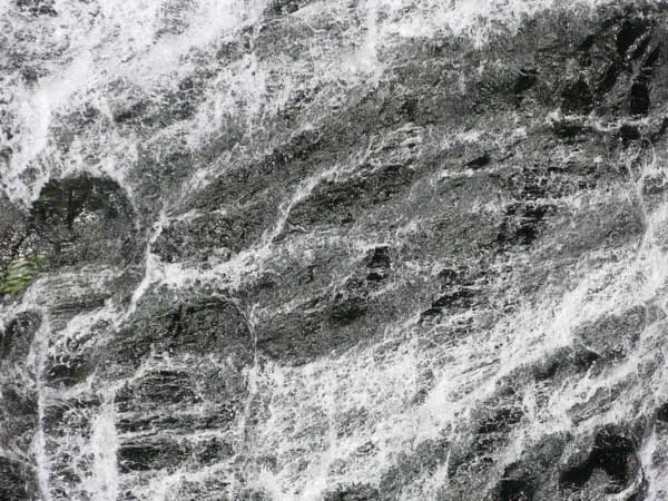 f:id:elmikamino:20090816235431j:image