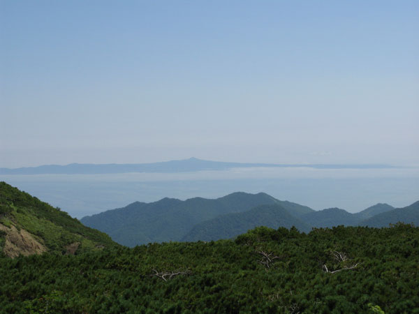 f:id:elmikamino:20090816235432j:image