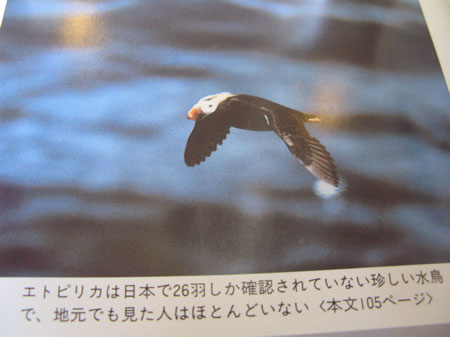 f:id:elmikamino:20090816235433j:image