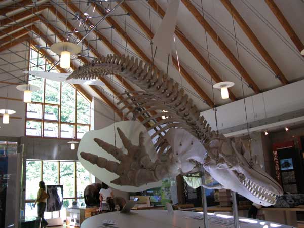 f:id:elmikamino:20090816235435j:image