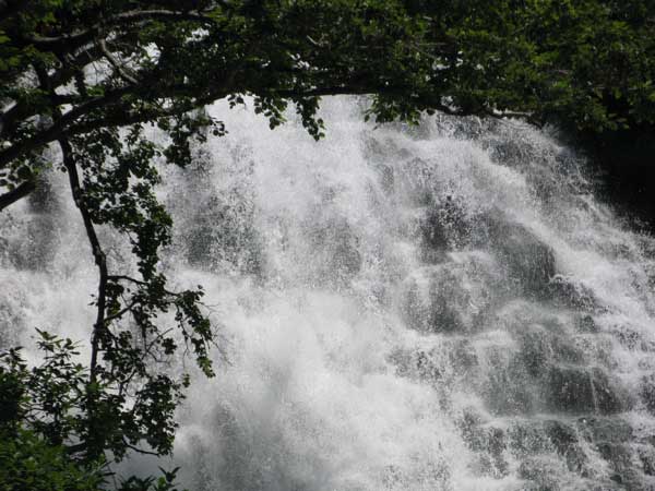 f:id:elmikamino:20090816235438j:image