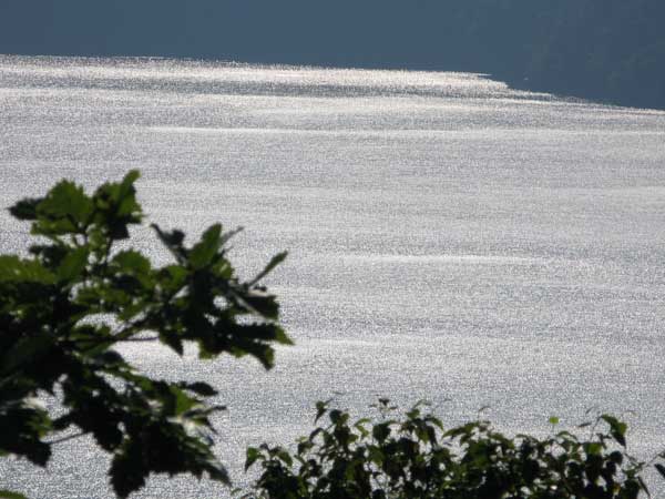 f:id:elmikamino:20090817112834j:image