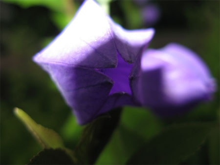f:id:elmikamino:20090818113521j:image