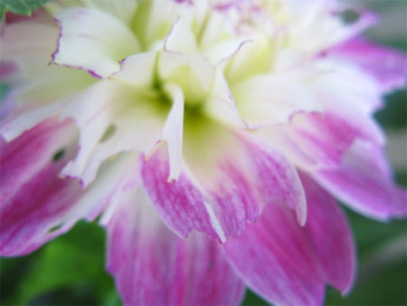 f:id:elmikamino:20090818113522j:image