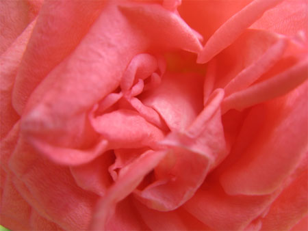 f:id:elmikamino:20090818113526j:image