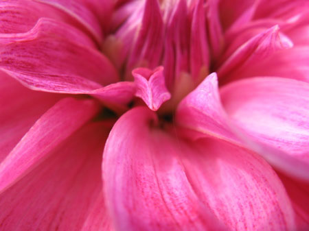 f:id:elmikamino:20090818115817j:image
