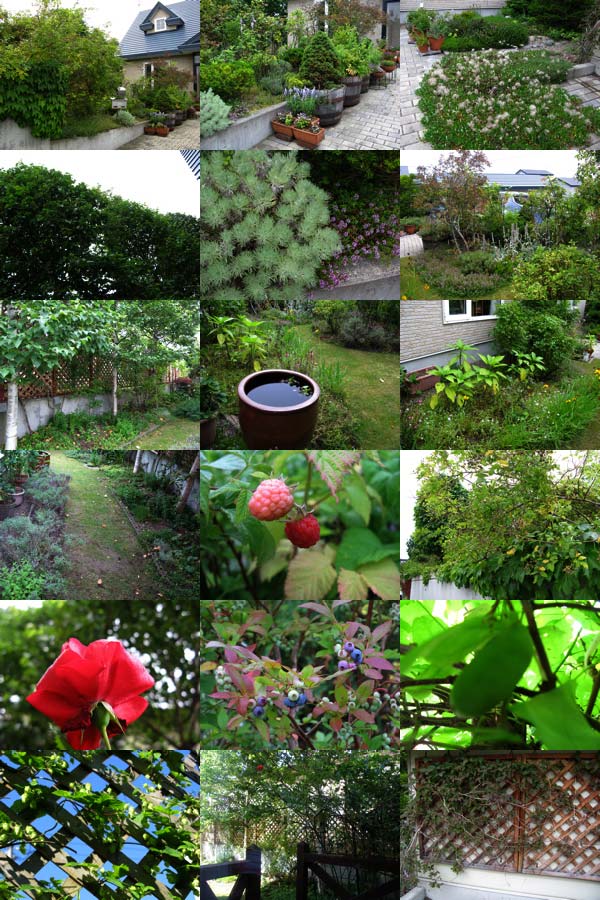 f:id:elmikamino:20090819192352j:image f:id:elmikamino:20090819192352j:image