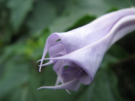 f:id:elmikamino:20090905124411j:image
