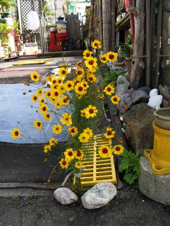 f:id:elmikamino:20090919221414j:image f:id:elmikamino:20090919221414j:image