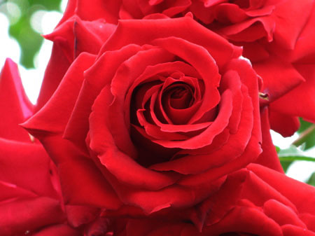 f:id:elmikamino:20090921122951j:image