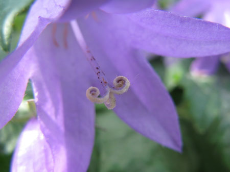 f:id:elmikamino:20090922113038j:image