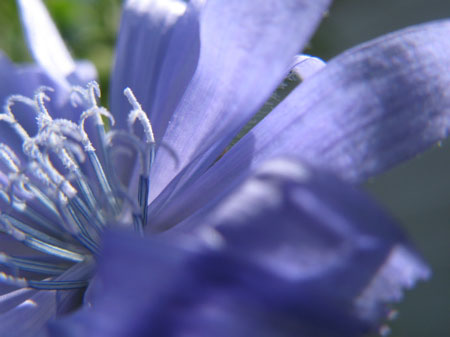 f:id:elmikamino:20090922113042j:image