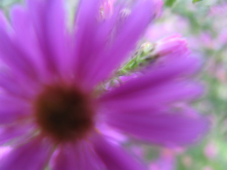 f:id:elmikamino:20090928143620j:image