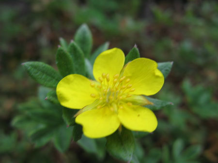 f:id:elmikamino:20090928185234j:image