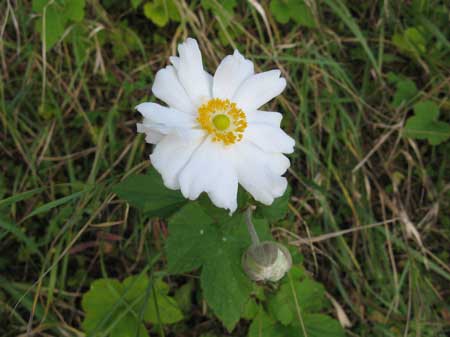f:id:elmikamino:20090929105358j:image
