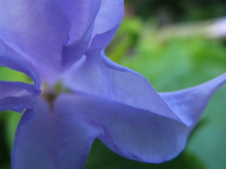 f:id:elmikamino:20090929105400j:image