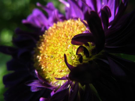 f:id:elmikamino:20090930094506j:image