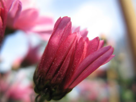 f:id:elmikamino:20091006113711j:image f:id:elmikamino:20091006113711j:image