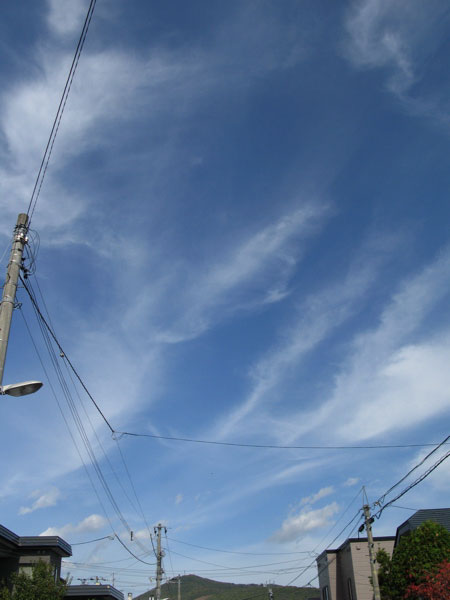 f:id:elmikamino:20091006113712j:image f:id:elmikamino:20091006113712j:image