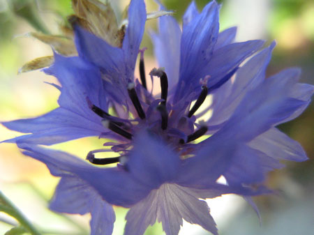 f:id:elmikamino:20091006113714j:image f:id:elmikamino:20091006113714j:image