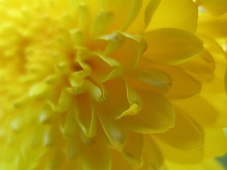 f:id:elmikamino:20091006113717j:image f:id:elmikamino:20091006113717j:image