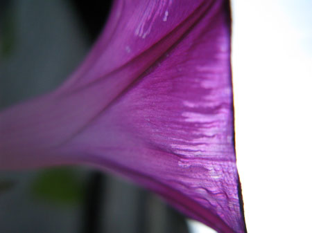 f:id:elmikamino:20091006113718j:image f:id:elmikamino:20091006113718j:image