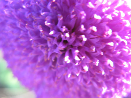 f:id:elmikamino:20091006113724j:image f:id:elmikamino:20091006113724j:image