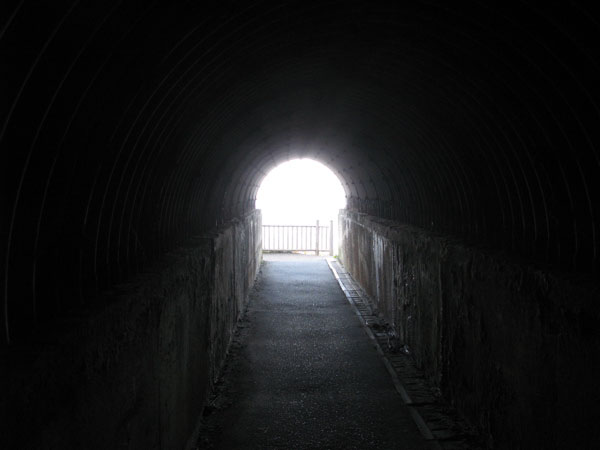 f:id:elmikamino:20091006162103j:image