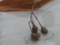 20091011123258