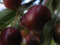 20091012120819