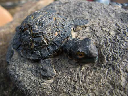 f:id:elmikamino:20091018122030j:image