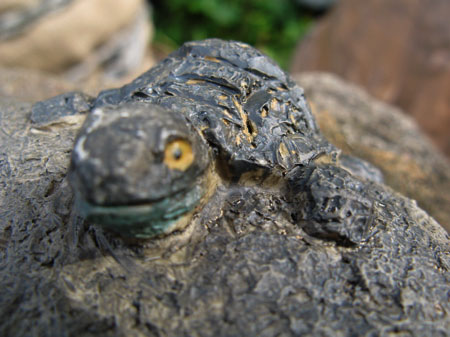 f:id:elmikamino:20091018122031j:image