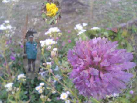 f:id:elmikamino:20091023121334j:image