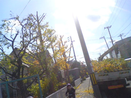 f:id:elmikamino:20091024120128j:image f:id:elmikamino:20091024120128j:image