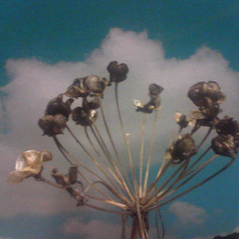 f:id:elmikamino:20091026220358j:image:w450